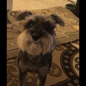 Meet your Posher, Paola